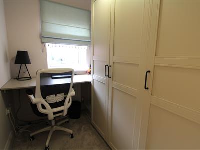 Picture 13